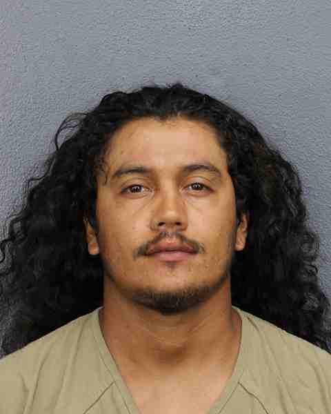 Booking photo for DOMINGUEZ LICONA, RENE