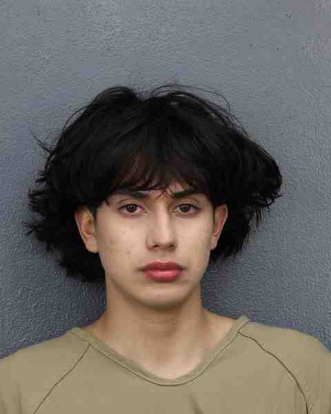 Booking photo for RIVERA, YANDI