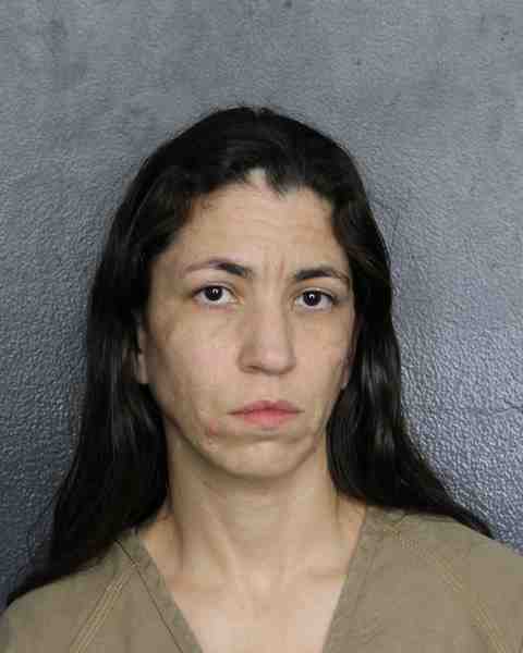 Booking photo for REYES, ASHLEY