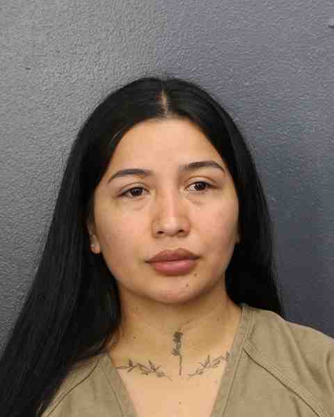 Booking photo for CASTRO PEREZ, JESSICA