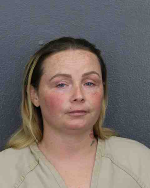 Booking photo for WALLIN, MELISSA