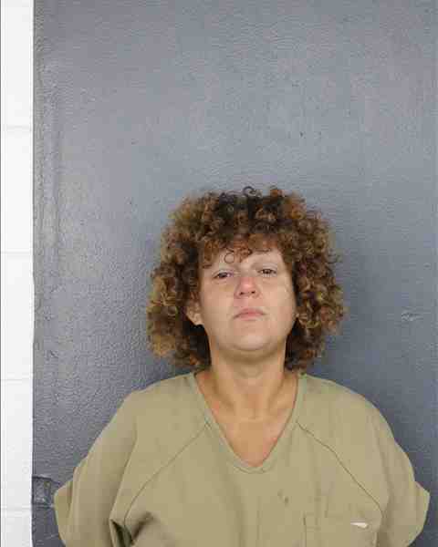 Booking photo for TOSKI, ADRIANNE