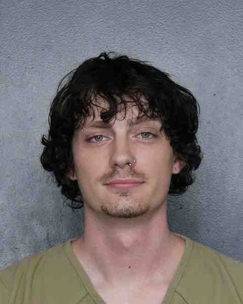 Booking photo for ANDREWS, DILLYN