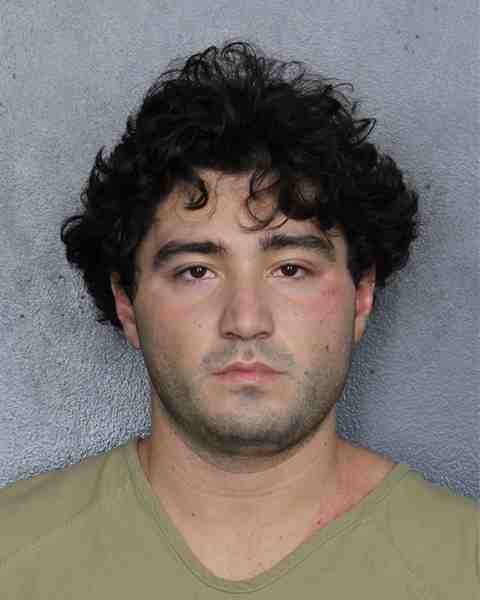 Booking photo for LEPIS, MICHAEL