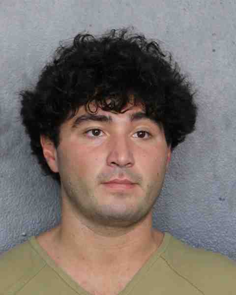 Booking photo for LEPIS, MICHAEL