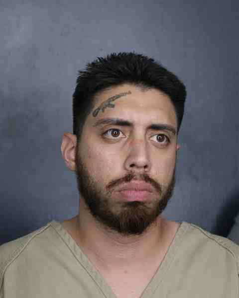 Booking photo for PESANTES COELLO, JULIO