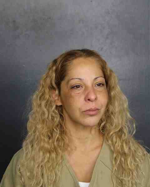 Booking photo for VALLIN, NATALIE