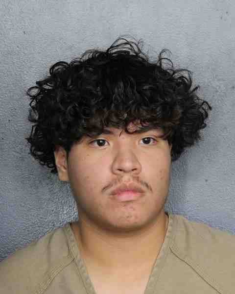 Booking photo for MENDIZ, ANDRES