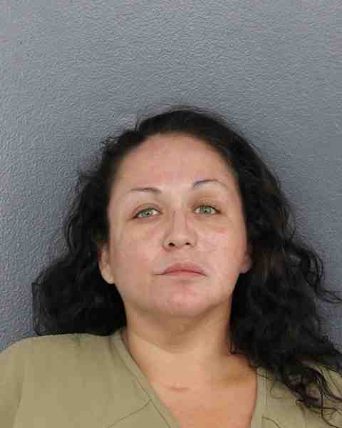 Booking photo for DONAHUE, DIANA
