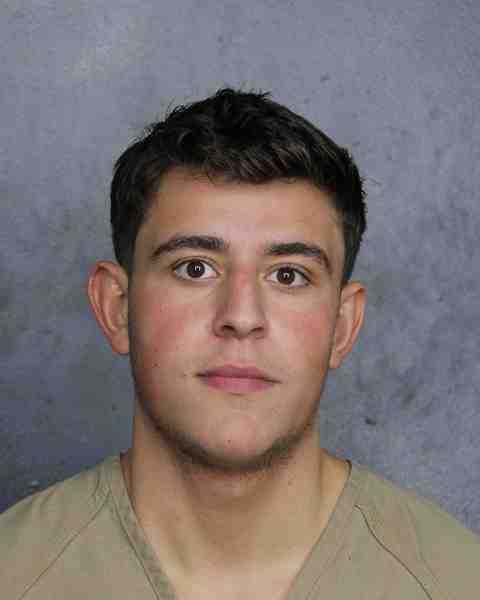 Booking photo for ZIV, ELAIMEIR