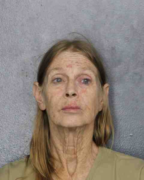 Booking photo for ST ONGE, BRENDA