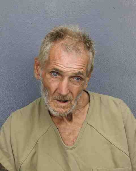 Booking photo for BROWN, CHRISTOPHER