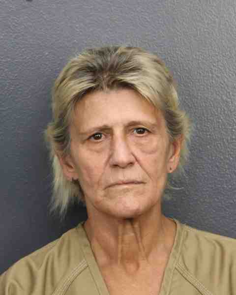 Booking photo for AARON, CYNTHIA